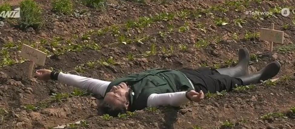 3847006464355547 image