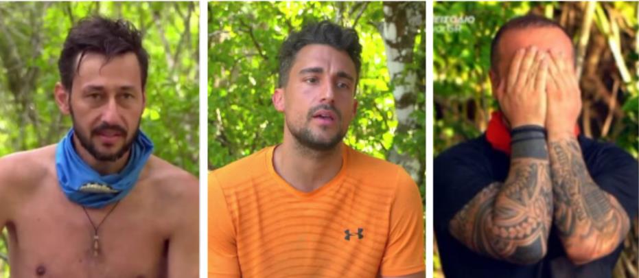 3847862823852069 image