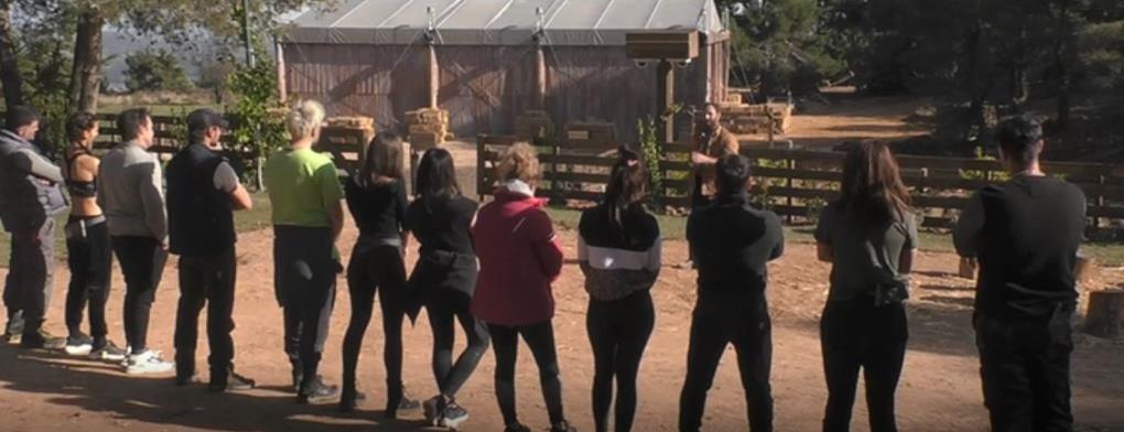 3848559767144816 image