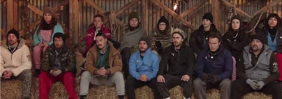 3849432901715008 image