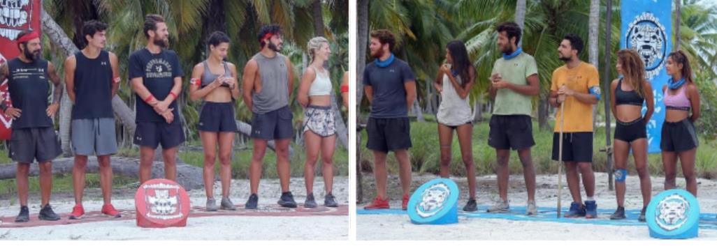 3858137814994056 image