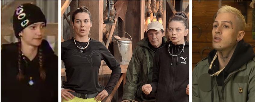 3873628457115719 image