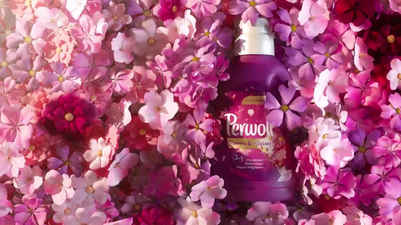 3876412731068000 maxresdefault