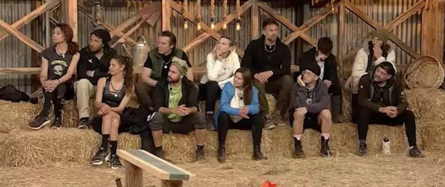 3878816519842666 image