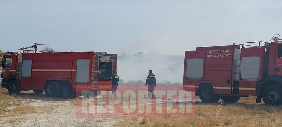 3892016433027562 arad