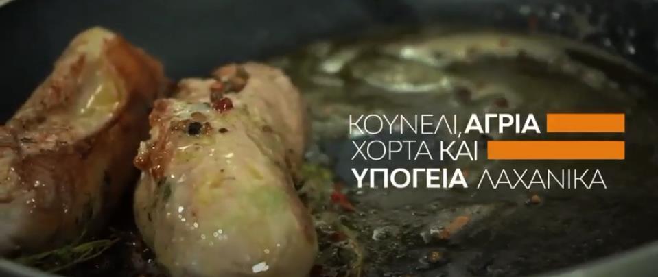 3895417706751270 image