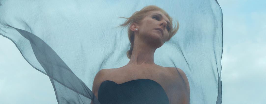 3895446270737472 image