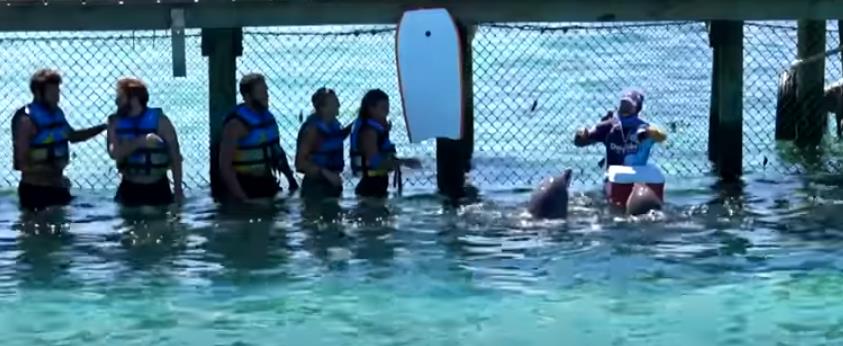 3898671059097033 image