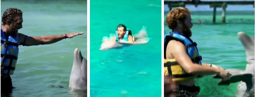 3898762714484087 image