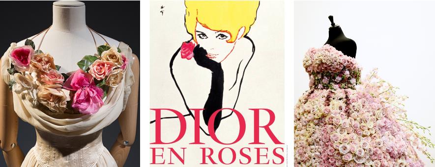 3898919599777412 image