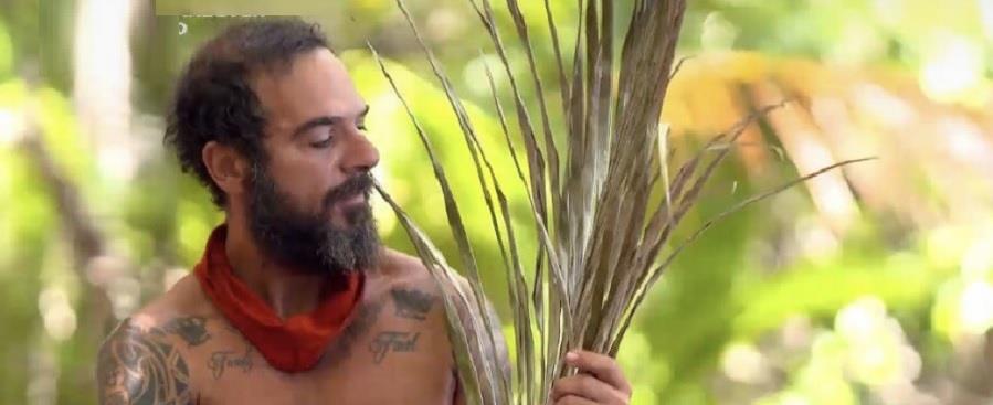 3902253022564406 NTAFY