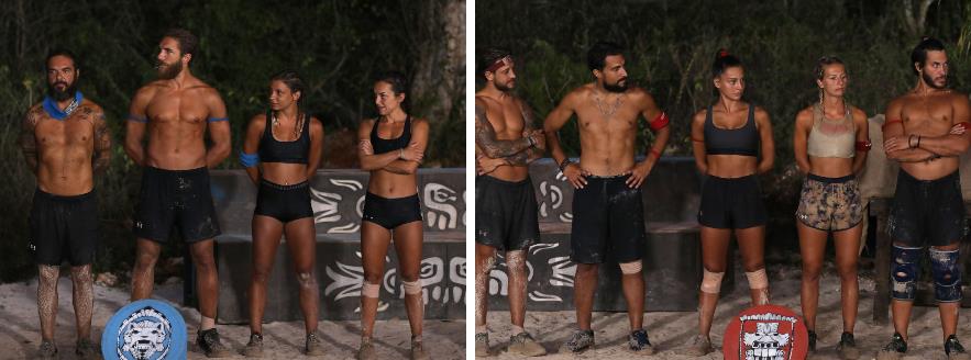 3904722989458270 image