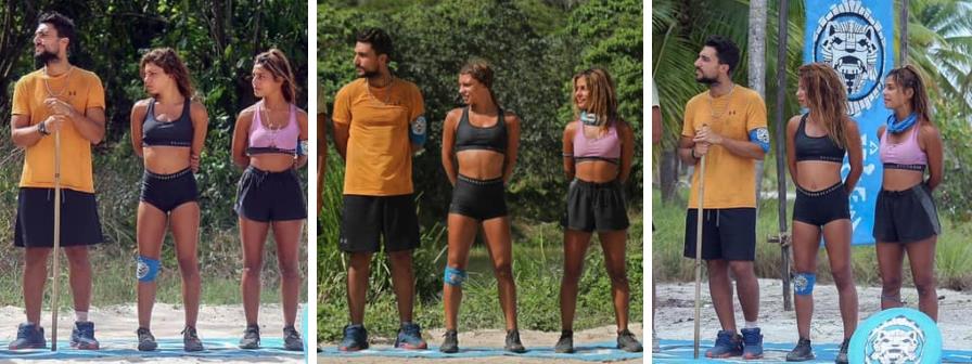 3906538083458740 image