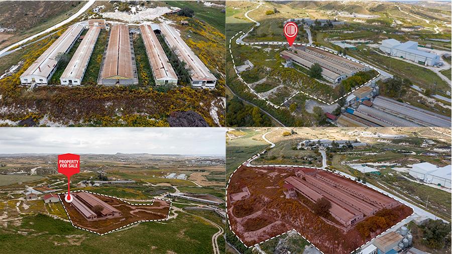 altamiraktinotrofikes