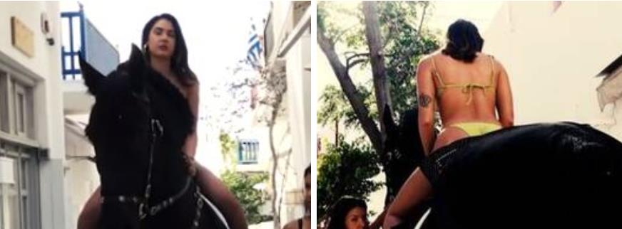 3907408489301510 image