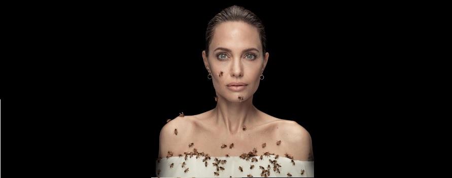 3908243905674345 A J