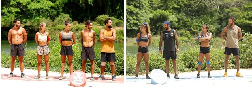 3910049702384356 image