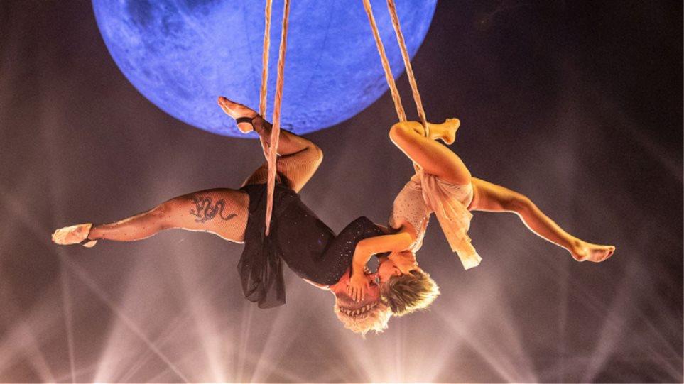 3911656225490190 Pink Willow 2