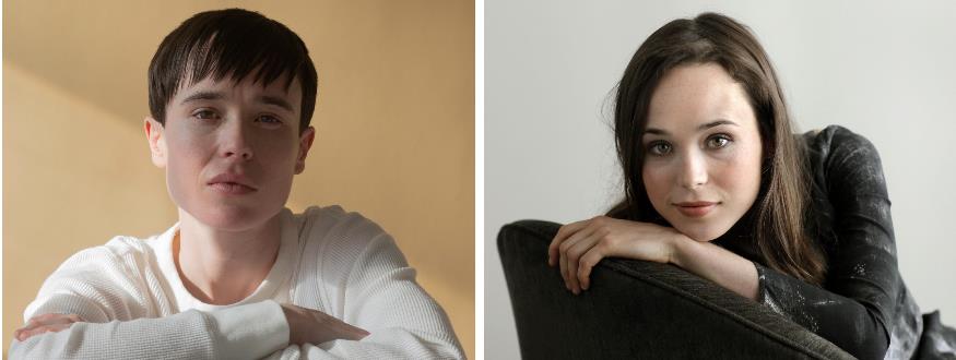 3911755692903238 image