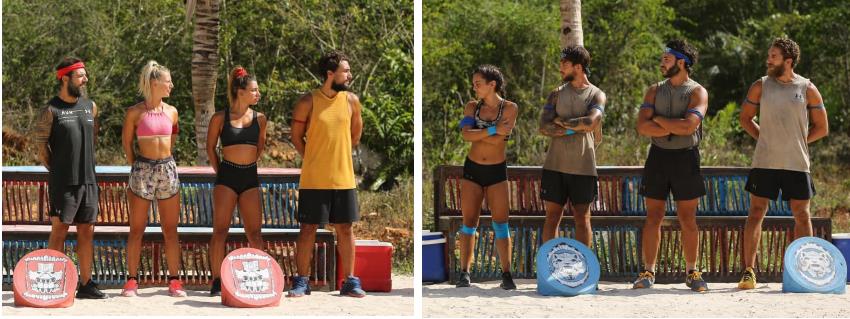 3917010205603562 image