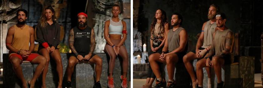 3917666816751266 image