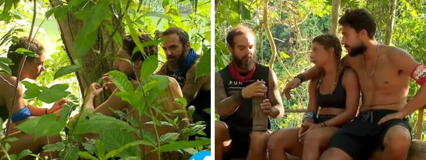 3917837587460606 image