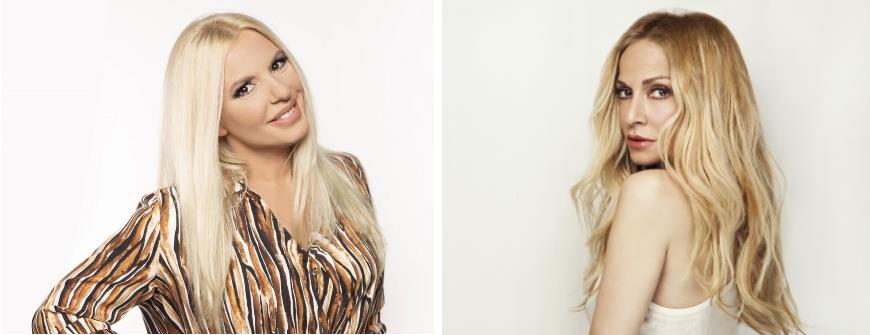 3917841294068126 image