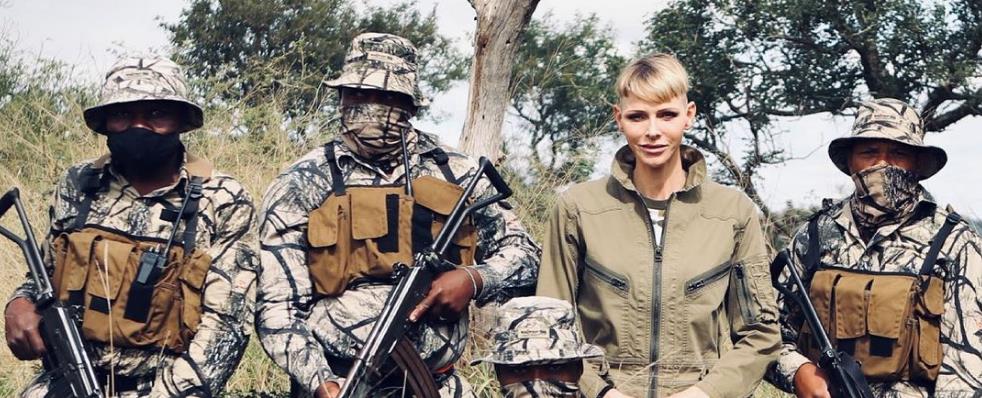 3918704773406403 image