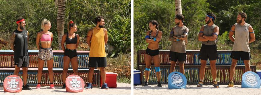 3918719423710225 image