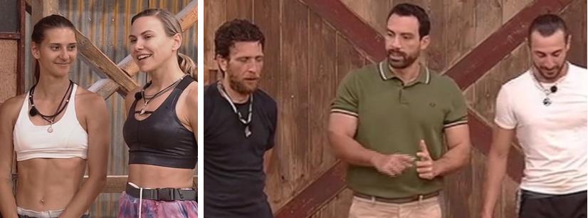 3921141641598633 image