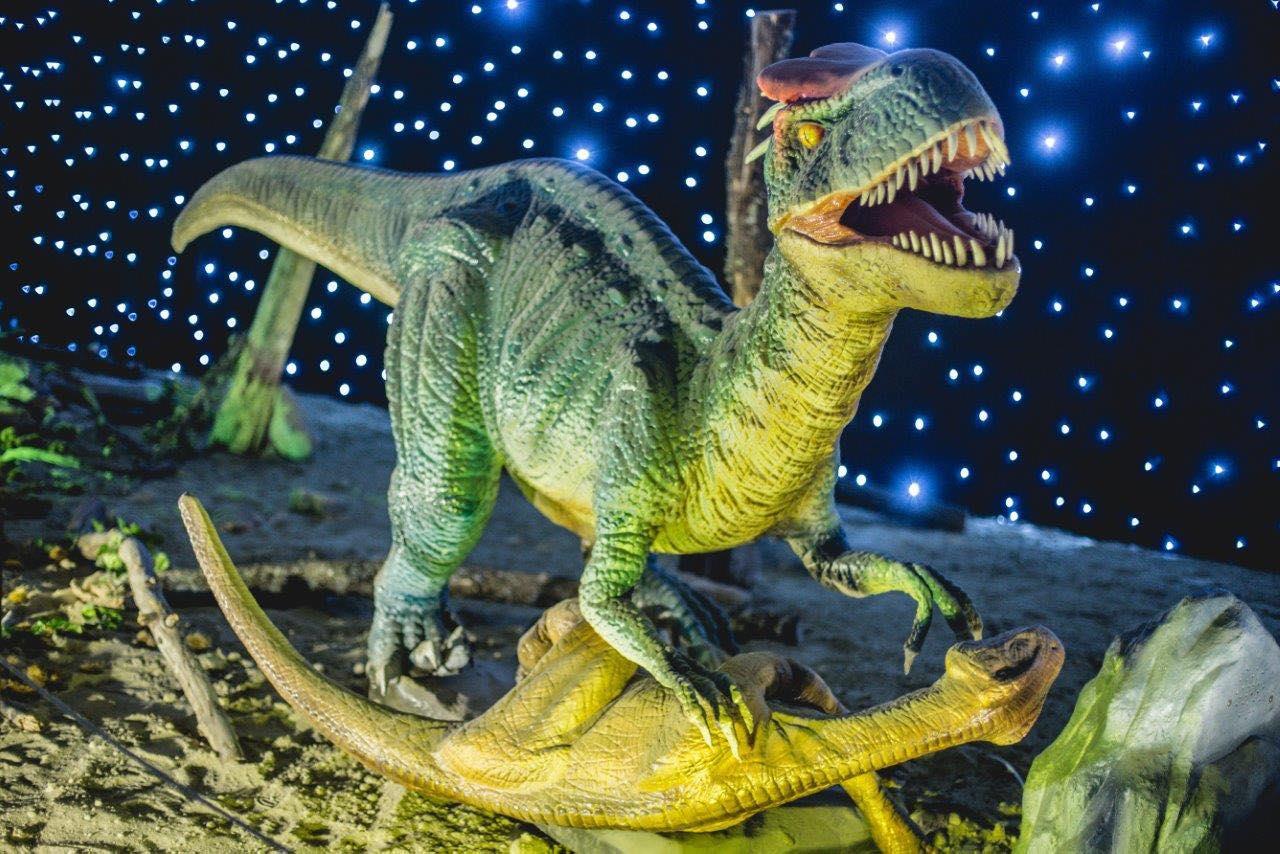 3924810736705495 196437471 536486410713915 7062588485468302907 n