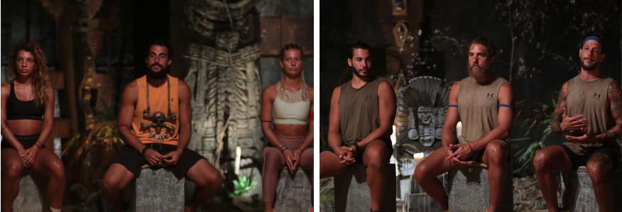 3930681706163265 image