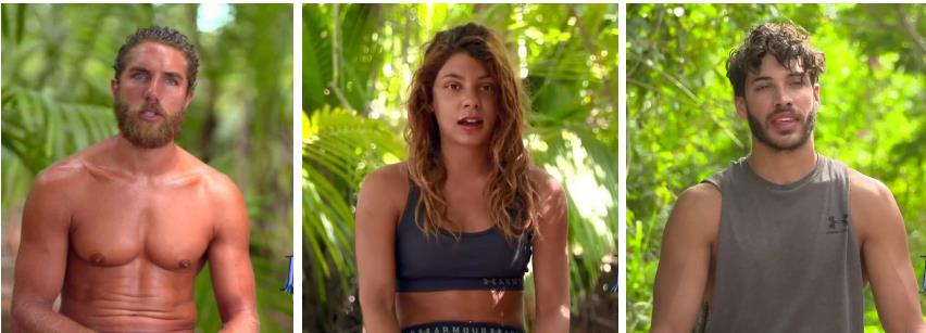 3938455964295616 image