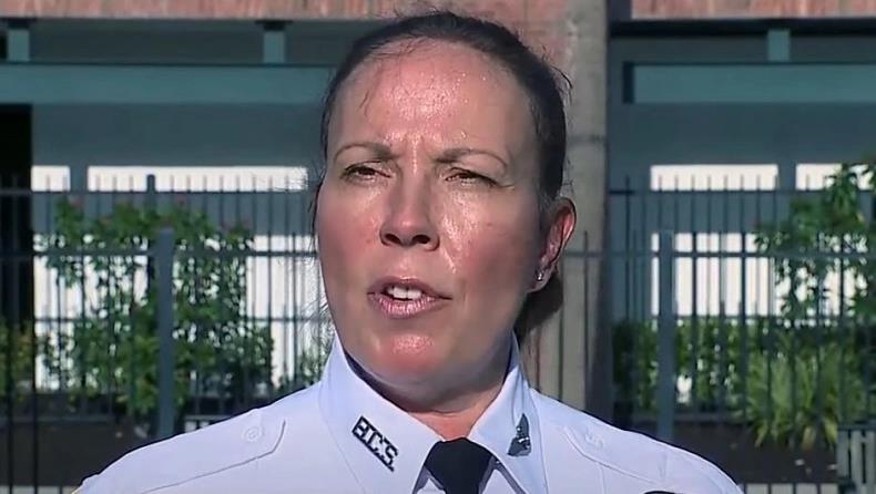 3942360749667155 image