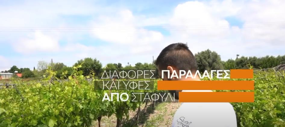 3948980251742363 image