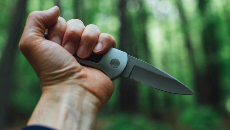 3949711894854092 image