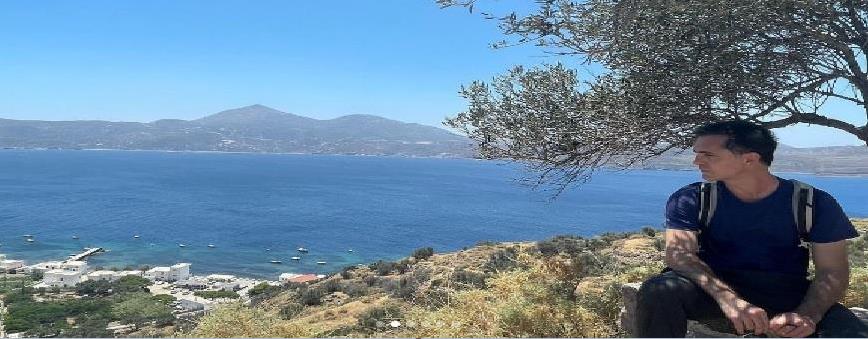 3953157831261911 image