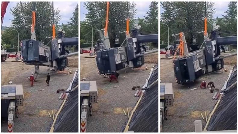 3955222868832643 image