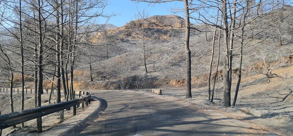 3955076594114905 208892533 4138069469609927 4790148436420757336 n