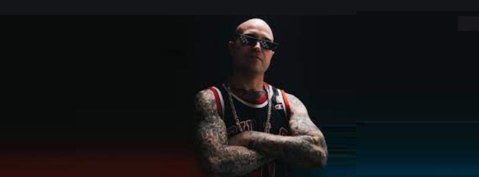 3966197357776683 images