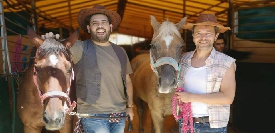 3967086866279797 ηη