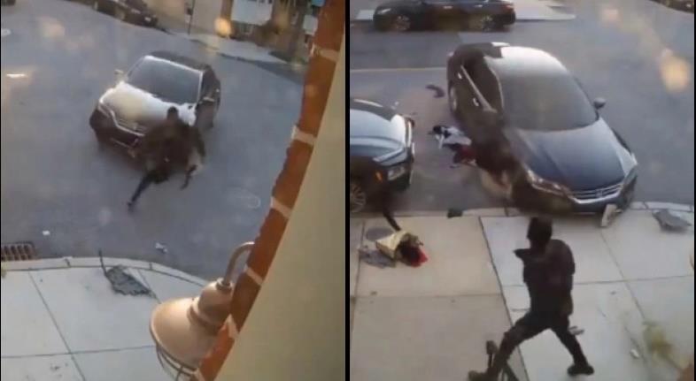 3970688882396047 image