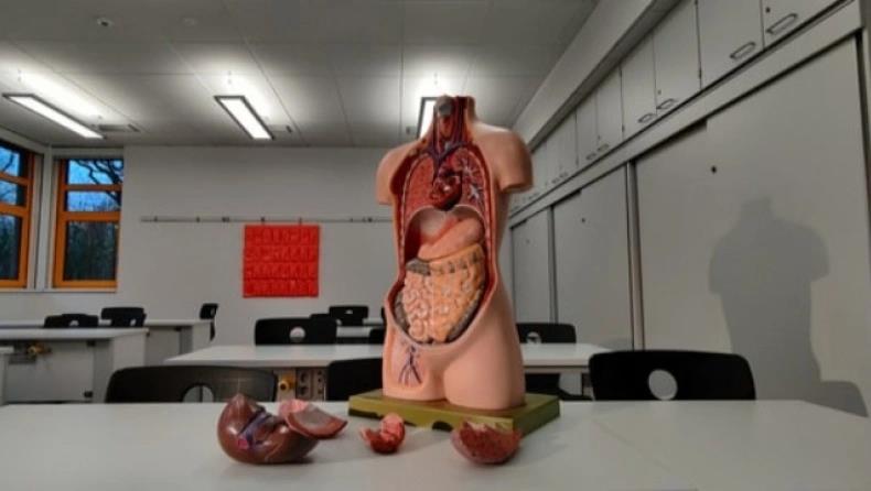 3971515734474598 image