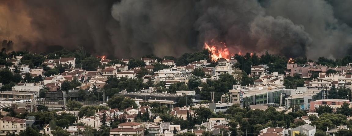 3972986857110060 image