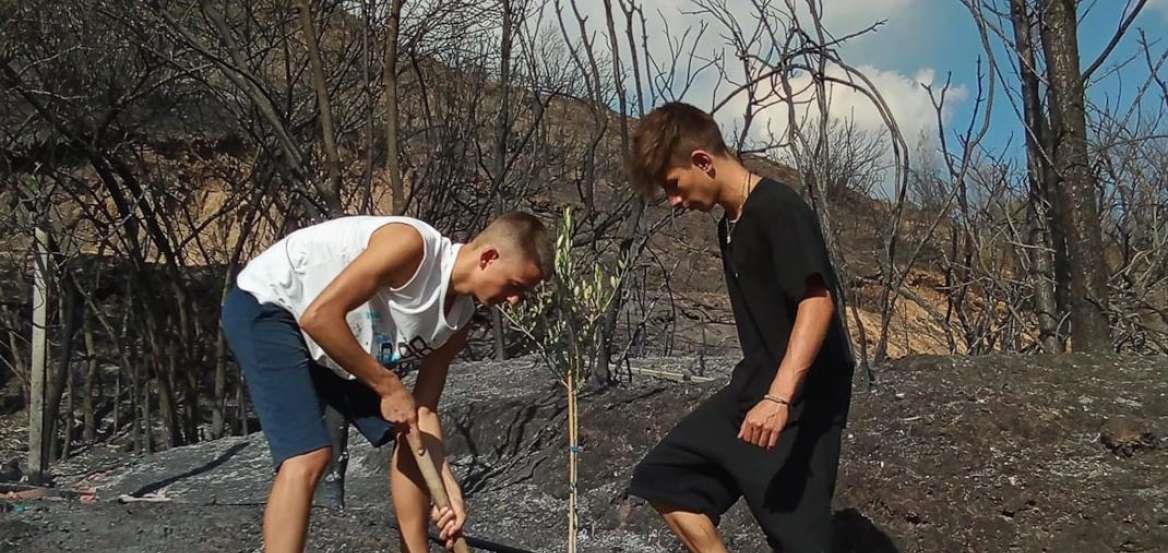 3975887269430993 proto-dentro-meta-ti-fotia 0