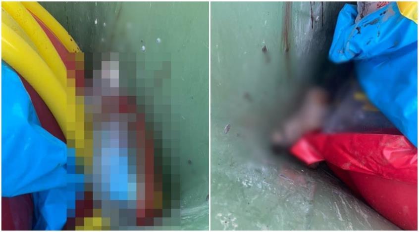 3976405517121993 cache 846x3000 Analog medium 845286 217844 682021