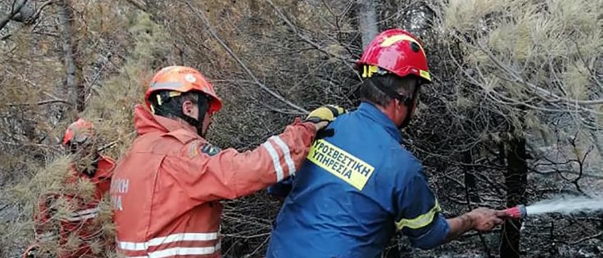 3976663692443940 imagew (7)