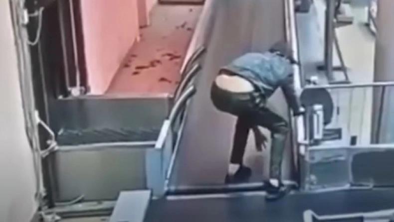 3982907683925103 image