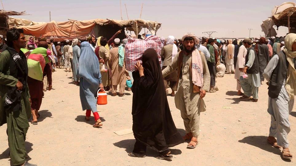 3983597051129506 image