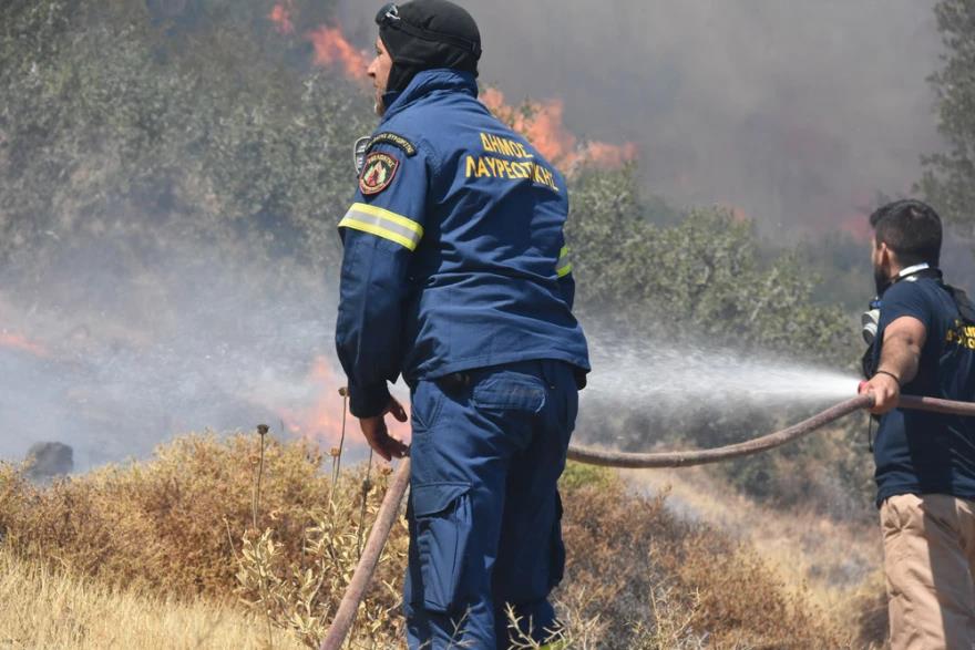 3983667386902624 image